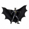 Batman DC The Flash Movie